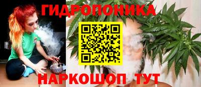 PSILOCYBIN Обнинск