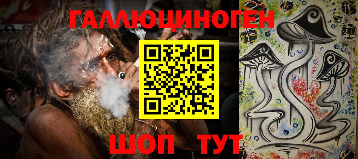 Галлюциногенные грибы Psilocybine cubensis Великий Новгород
